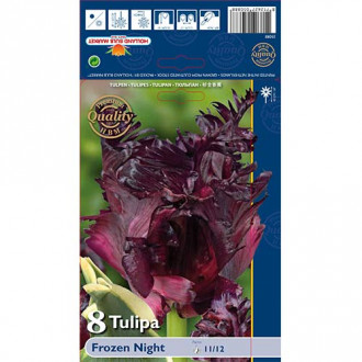 Tulpe Frozen Night interface.image 4