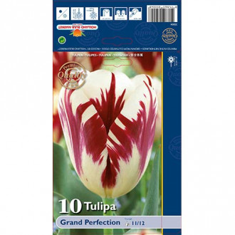 Tulpe Grand Perfection interface.image 5