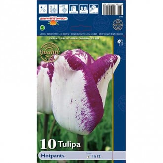 Tulpe Hotpants interface.image 6