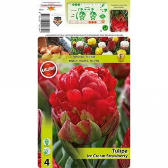 Tulpe Ice Cream Strawberry interface.image 5