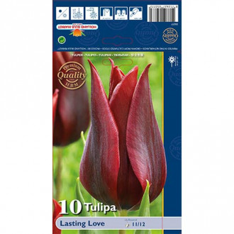 Tulpe Lasting Love interface.image 5