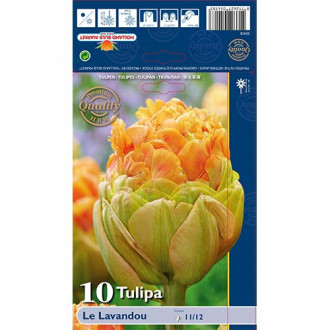 Tulpe Le Lavendou interface.image 6