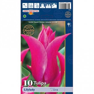 Tulpe Lilylady interface.image 5