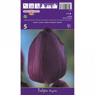 Tulpe Negrita interface.image 3