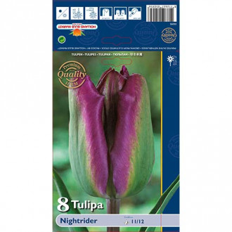 Tulpe Night Rider interface.image 1