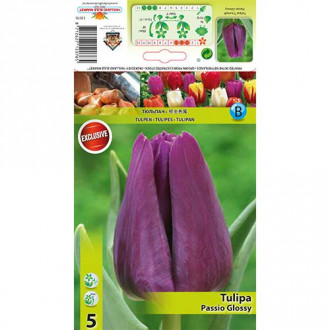 Tulpe Passio Glossy interface.image 2