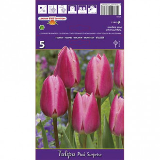 Tulpe Pink Surprise interface.image 5