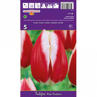 Tulpe Pole Position interface.image 2