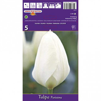 Tulpe Purissima interface.image 3