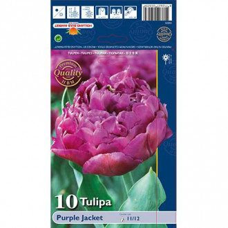 Tulpe Purple Jacket interface.image 2