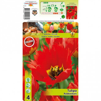 Tulpe Robbedoes interface.image 4