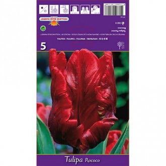 Tulpe Rococo Parrot interface.image 2