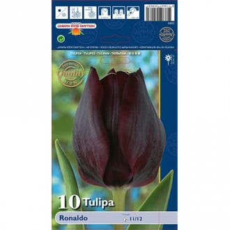 Tulpe Ronaldo interface.image 1