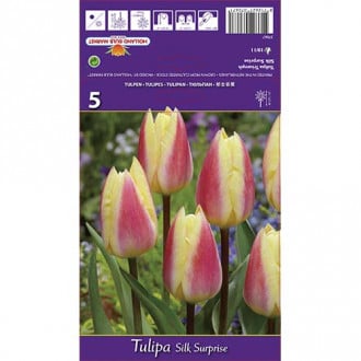 Tulpe Silk Surprise interface.image 1