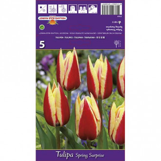 Tulpe Spring Surprise interface.image 4