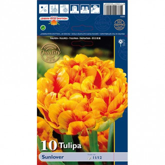 Tulpe Sunlover interface.image 2