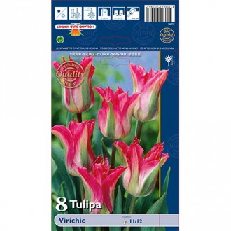 Tulpe Virichic interface.image 1