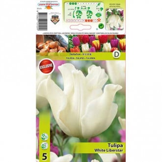 Tulpe White Liberstar interface.image 2