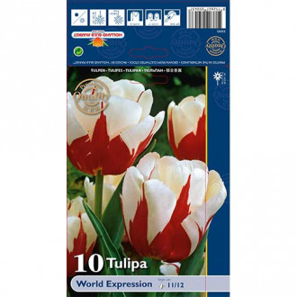 Tulpe World Expression interface.image 6