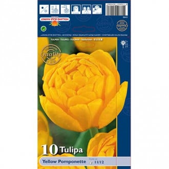 Tulpe Yellow Pomponette interface.image 1