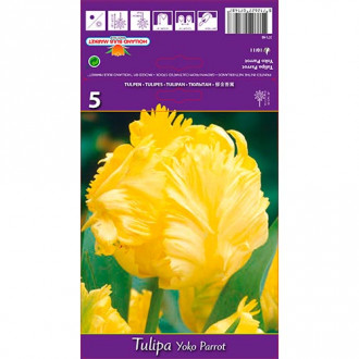 Tulpe Yoko Parrot interface.image 4