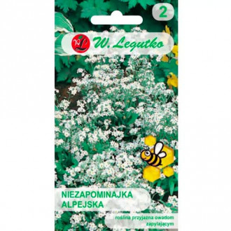 Vergissmeinnicht alpin weiß Legutko interface.image 6