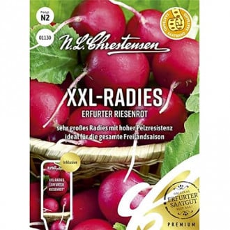 XXL - Radies Erfurter Riesenrot interface.image 5