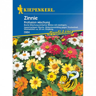 Zinnie Profusion Mischung interface.image 6