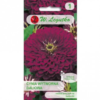 Zinnie Violet Queen Legutko Bild 3 Zinnie Violet Queen Legutko interface.image 3