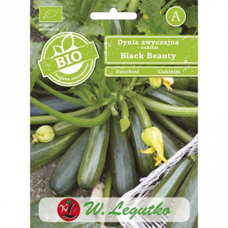 Zucchini Black Beauty interface.image 4