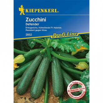 Zucchini Defender F1 interface.image 4