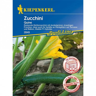 Zucchini Quine F1 interface.image 5