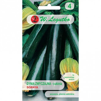 Zucchini Soraya interface.image 4