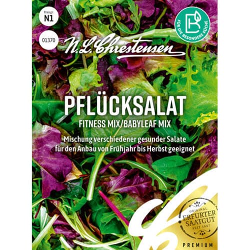 Schnittsalat Fitness Mischung interface.art Bild 1 Schnittsalat Fitness Mischung interface.image 1 interface.art 96494