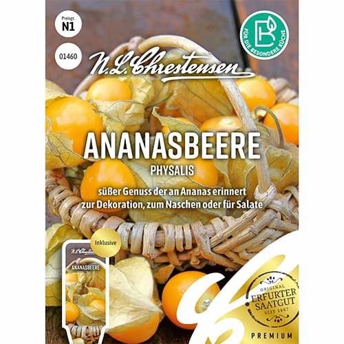 Ananasbeere Physalis interface.art Bild 1 Ananasbeere Physalis interface.image 1 interface.art 87827