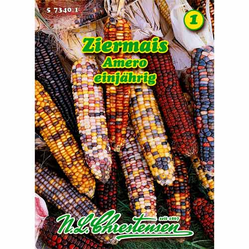 Ziermais Amero interface.image 1 interface.art 96457