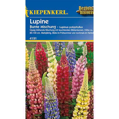 Lupine dauerhaft, mix interface.art Bild 1 Lupine dauerhaft, mix interface.image 1 interface.art 86291