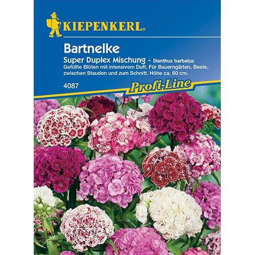 Bartnelke Duplika®, Mischung interface.art Bild 1 Bartnelke Duplika®, Mischung interface.image 1 interface.art 86250