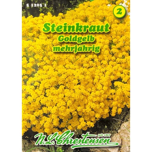 Steinkraut Goldkörbchen interface.image 1 interface.art 78969