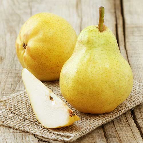 Birne Highland interface.image 1 interface.art 7952