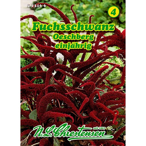 Fuchsschwanz Oeschberg (Amaranthus) interface.art Bild 1 Fuchsschwanz Oeschberg (Amaranthus) interface.image 1 interface.art 86174