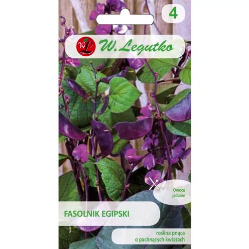 Ägyptische Bohne, rosa und violett Legutko interface.image 1 interface.art 78552