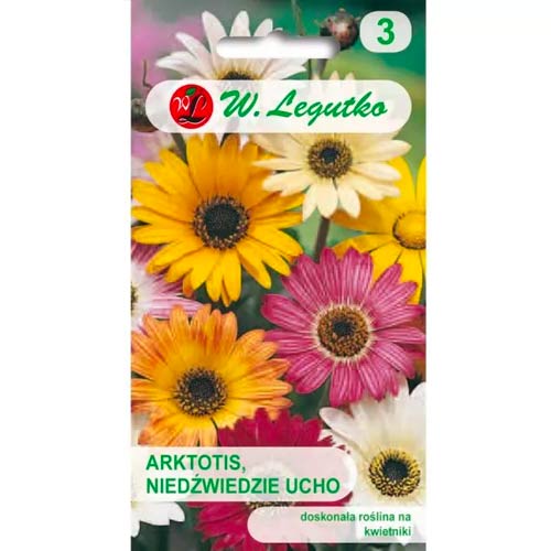 Afrikanisches Gänseblümchen mischung Legutko interface.image 1 interface.art 69555