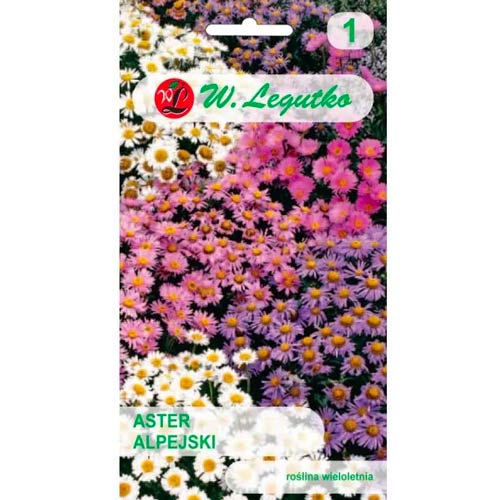 Alpenaster Hellblau Legutko interface.art Bild 1 Alpenaster Hellblau Legutko interface.image 1 interface.art 78596