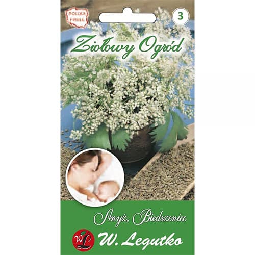 Anis Legutko interface.image 1 interface.art 69664