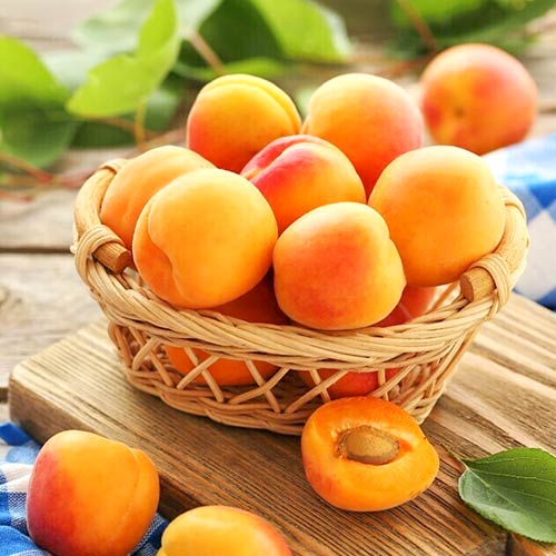 Aprikose Diamond, С2 interface.image 1 interface.art 4277