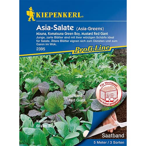 Asia - Salate (Saatband) interface.image 1 interface.art 87291