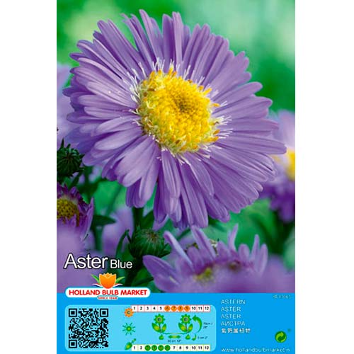 Aster Blue interface.art Bild 1 Aster Blue interface.image 1 interface.art 76371