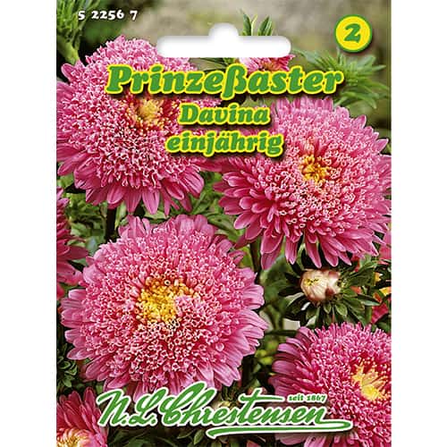 Prinzessastern Davina interface.image 1 interface.art 86138