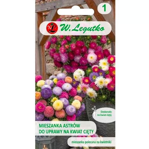 Aster für schnittblumen mischung Legutko interface.image 1 interface.art 50083